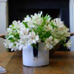 iPad一直播:大屏畅享高清直播新体验 fy2igv3j0r