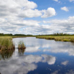 In直播精彩回放完整观看指南 i1fefm4p2f