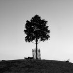 20日大乐透开奖结果最新公布,大奖花落谁家? m1fk3