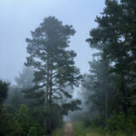 2109期开奖结果震撼揭晓,幸运号码花落谁家? m7521bn