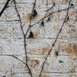 211期开奖结果震撼揭晓,幸运号码花落谁家? nj10b8p