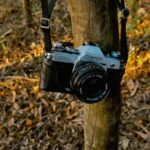 205彩票开奖最新结果查询与中奖号码公布 zgx1fi02nj